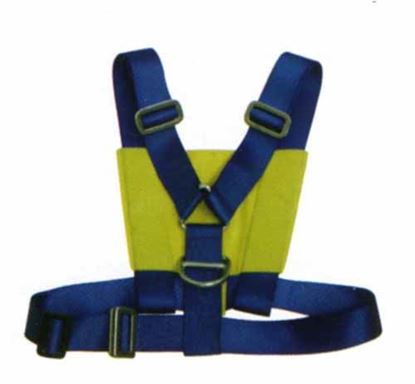 arnes-seguridad-adulto