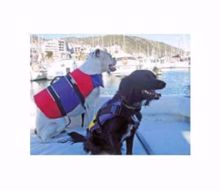 chaleco-mascota-18-36-kgs